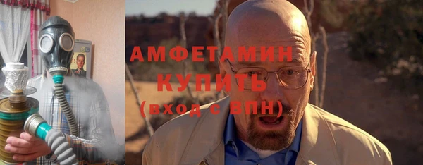 гидра Абаза