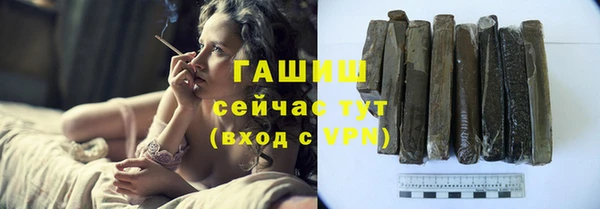 гидра Абаза