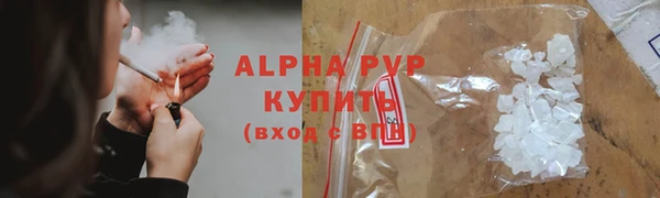 гидра Абаза