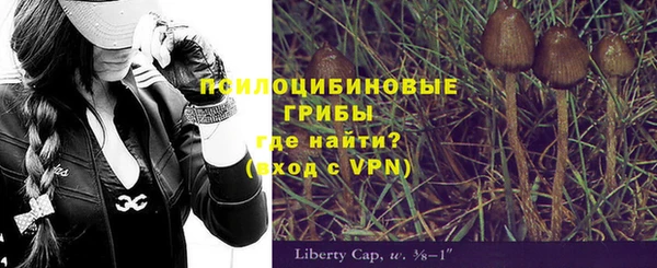 гидра Абаза