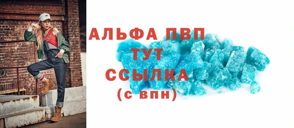 гидра Абаза