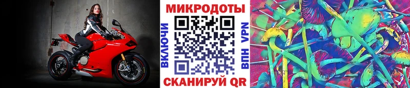 дарк нет какой сайт  Галич  Псилоцибиновые грибы прущие грибы  закладки 